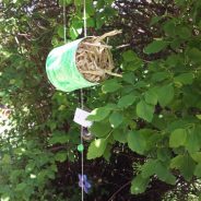 Insektenhäuschen